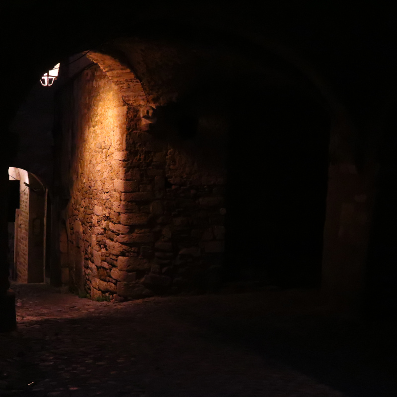 On voit passer la nuit des chauves-souris, mais je ne sais pas lesquelles, et encore moins comment les prendre en photo…