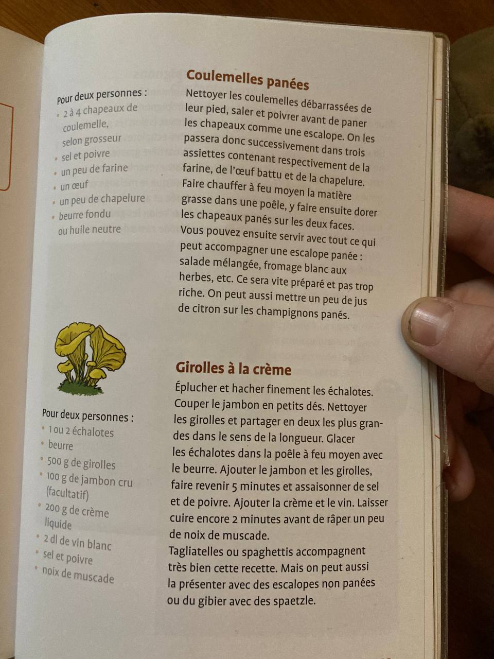 Fichier:Aller aux champignons 2.jpg