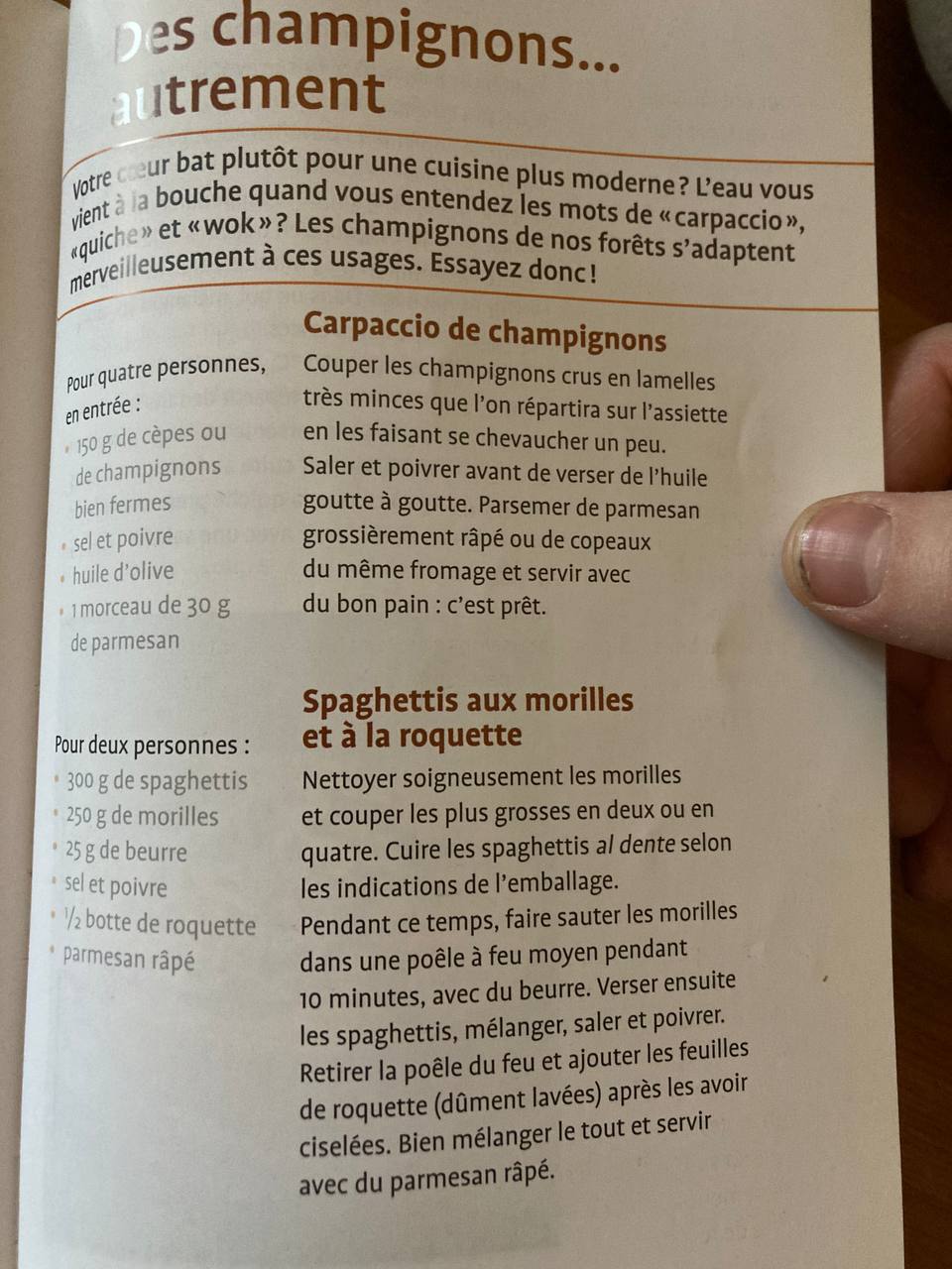 Fichier:Aller aux champignons 6.jpg