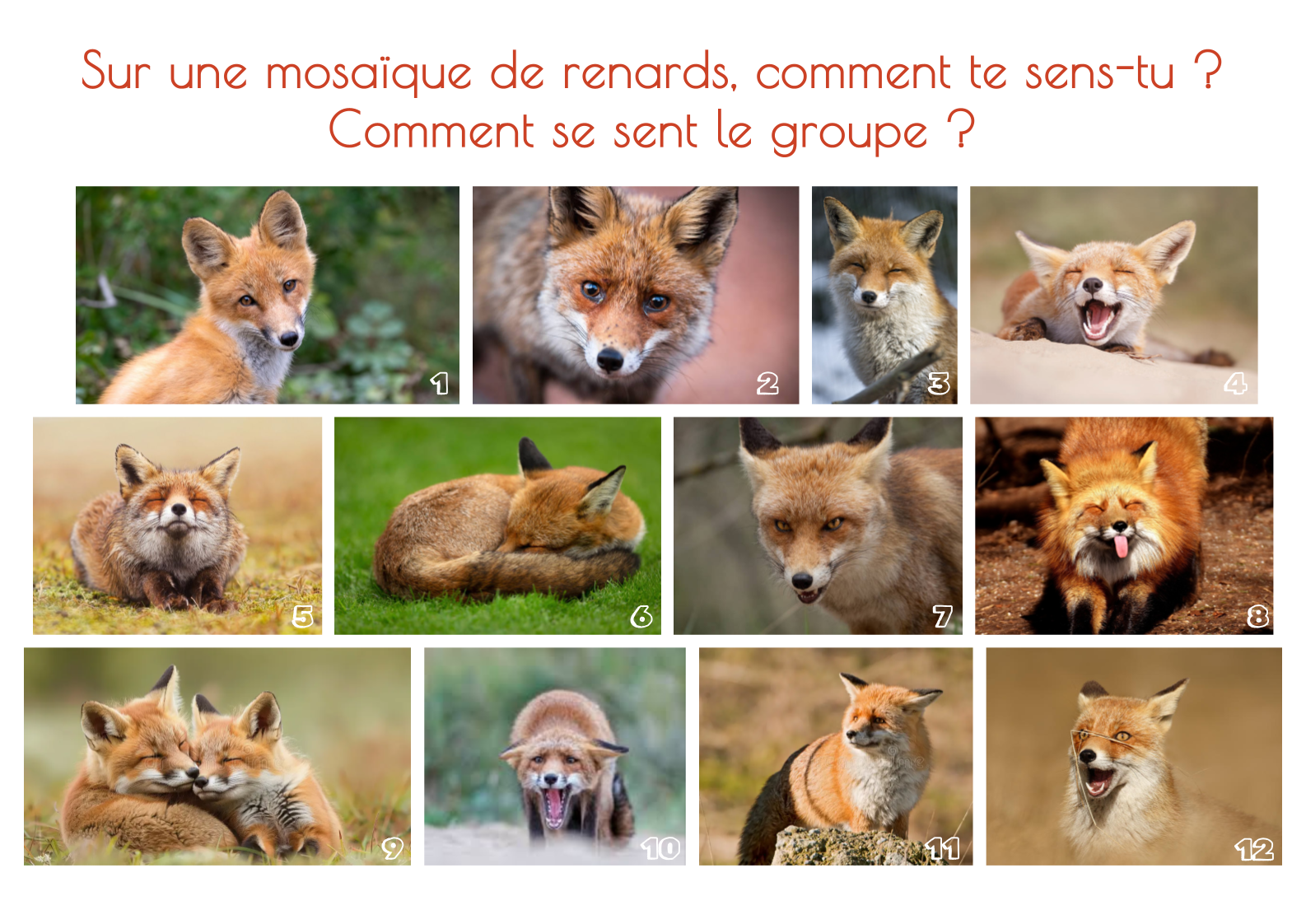 Vignette pour la version du 21 mai 2026 à 10:21