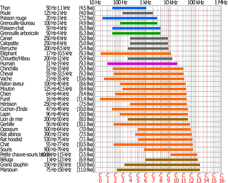 Fichier:Animal hearing frequency range fr.jpg