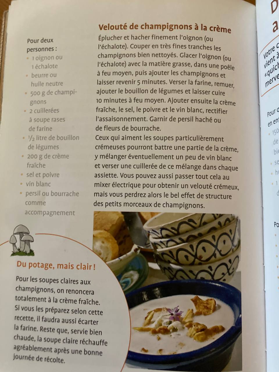 Fichier:Aller aux champignons 5.jpg