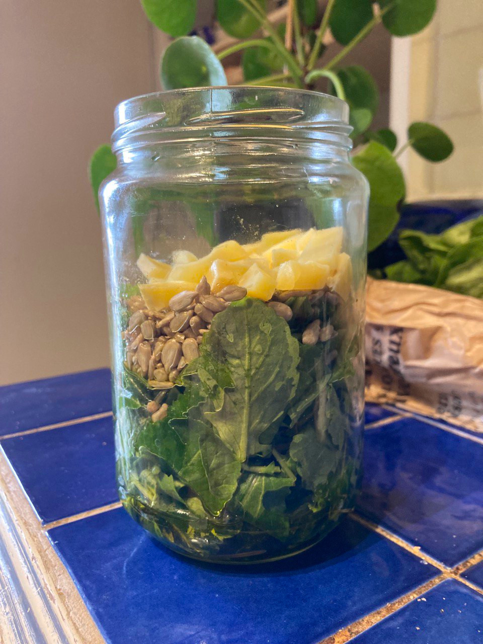 Fichier:Pesto 1.jpeg
