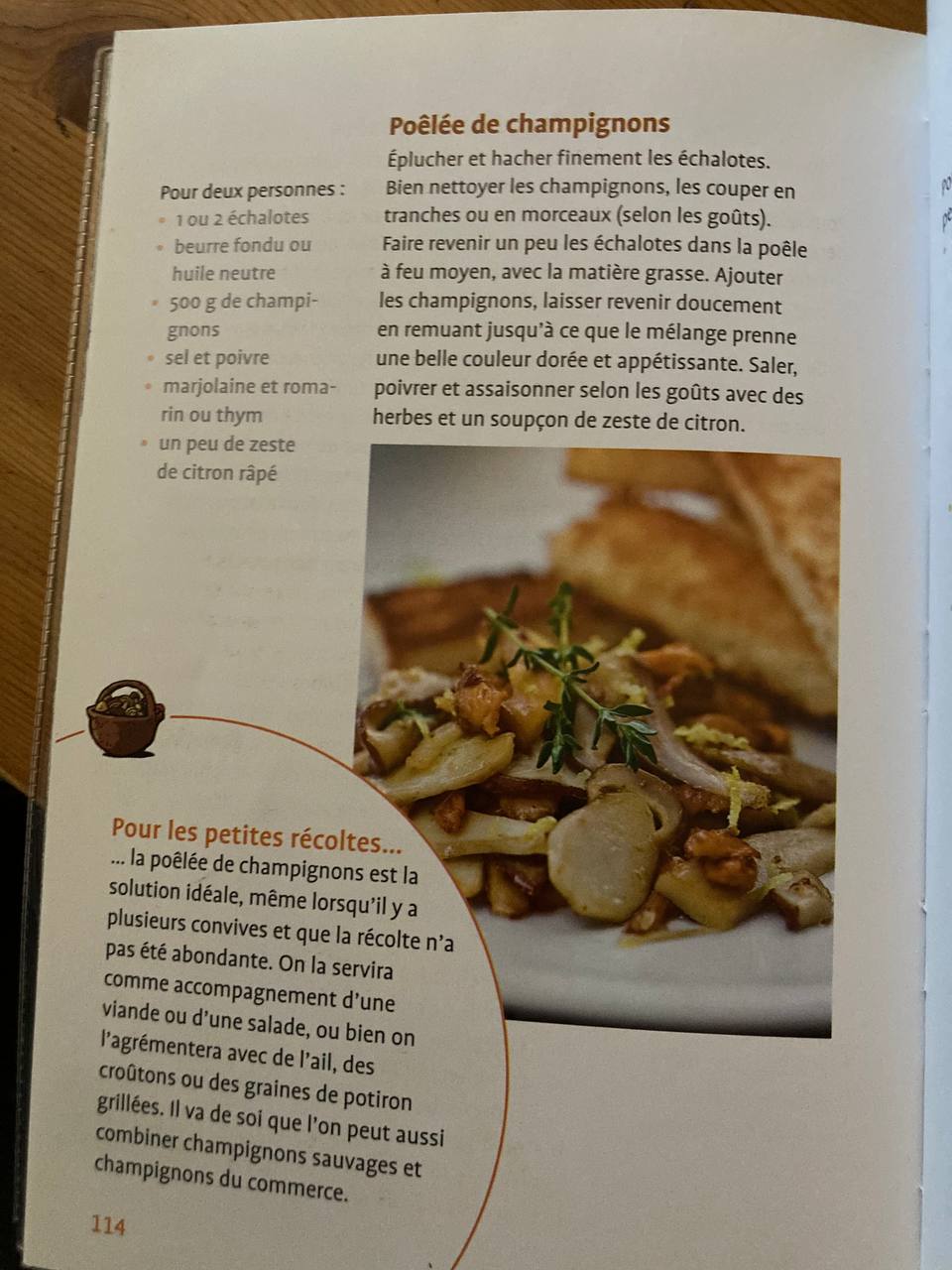 Fichier:Aller aux champignons 3.jpg