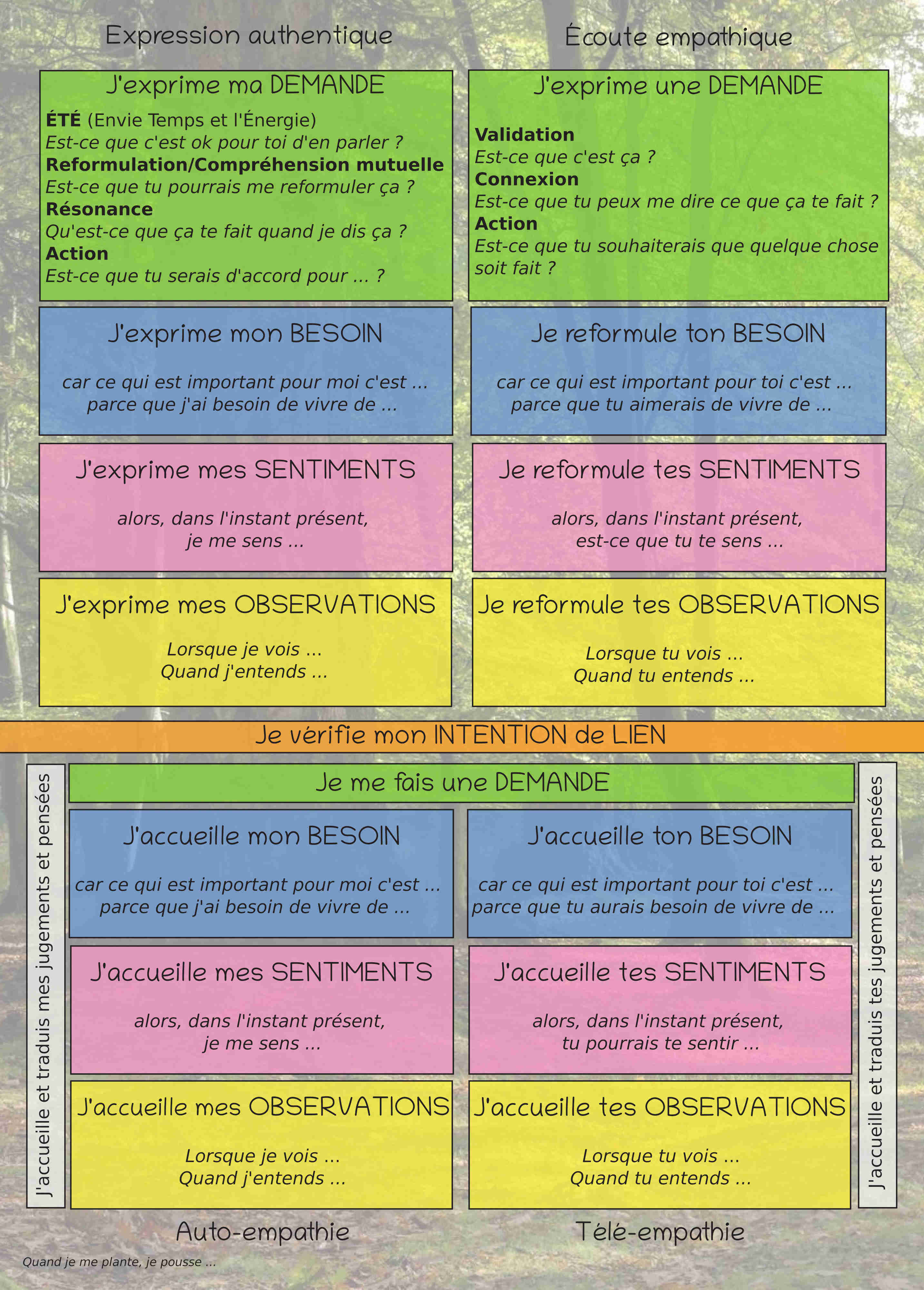 Fichier:CNV.jpg